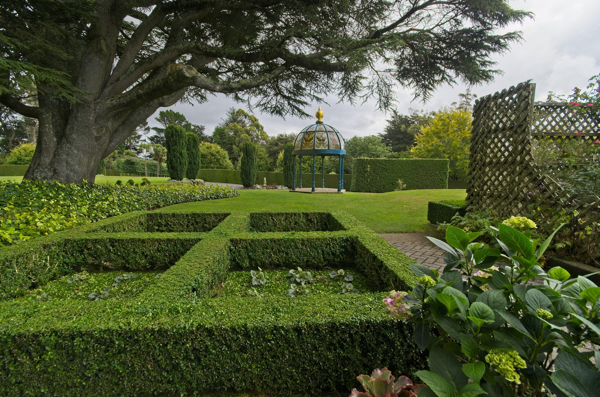 A garden